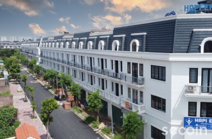 Ngói phẳng Pháp SE-46